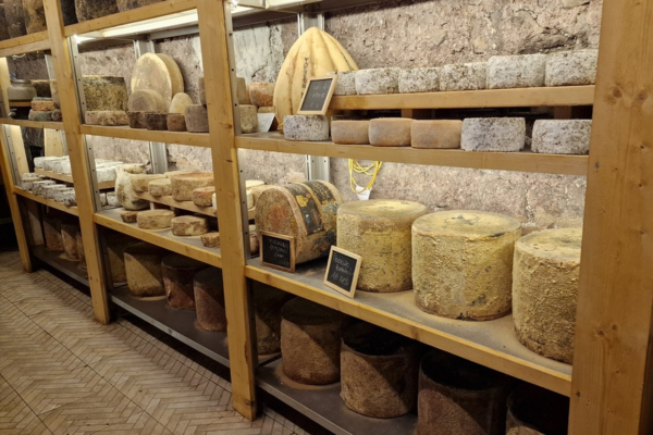 food-and-wine-tasting-my-best-tour